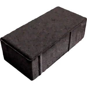 black_bruschatka